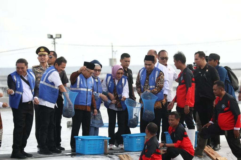 Udang yang Dipanen Prabowo di Kebumen Bakal Diekspor ke China hingga AS