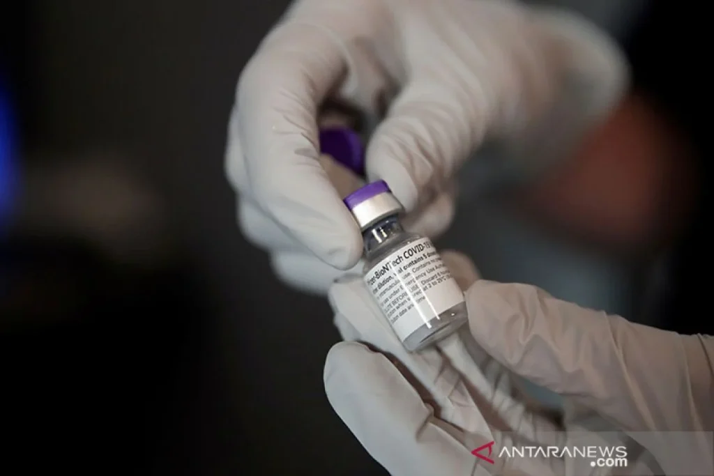 Viral Hantavirus Disebut Disebabkan Vaksin Covid, Pfizer Membantah