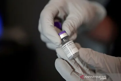 Viral Hantavirus Disebut Disebabkan Vaksin Covid, Pfizer Membantah
