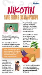 WHO Desak Tindakan Global Hadapi Lonjakan Kantong Nikotin pada Remaja