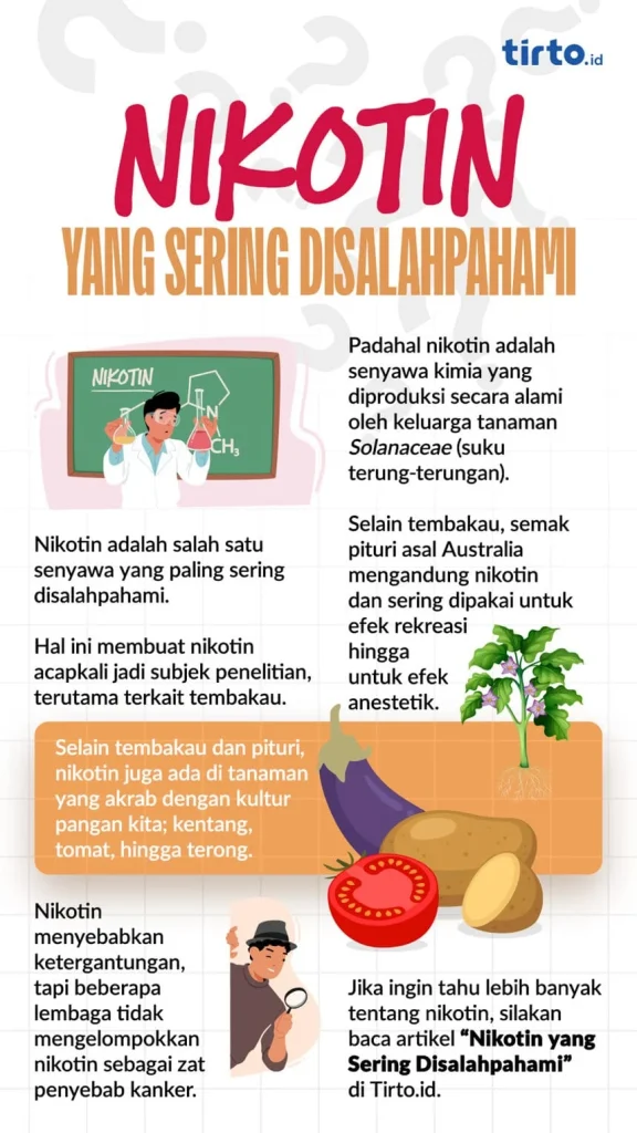WHO Desak Tindakan Global Hadapi Lonjakan Kantong Nikotin pada Remaja