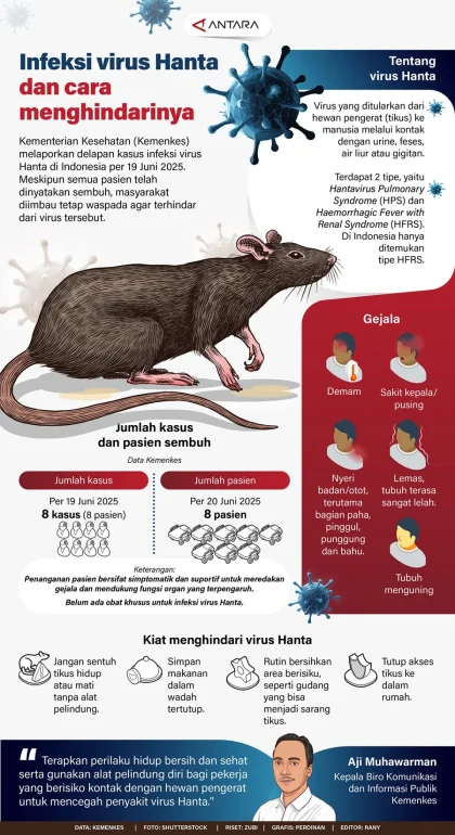 WHO Konfirmasi 10 Kasus Hantavirus, Risiko Penularan Rendah