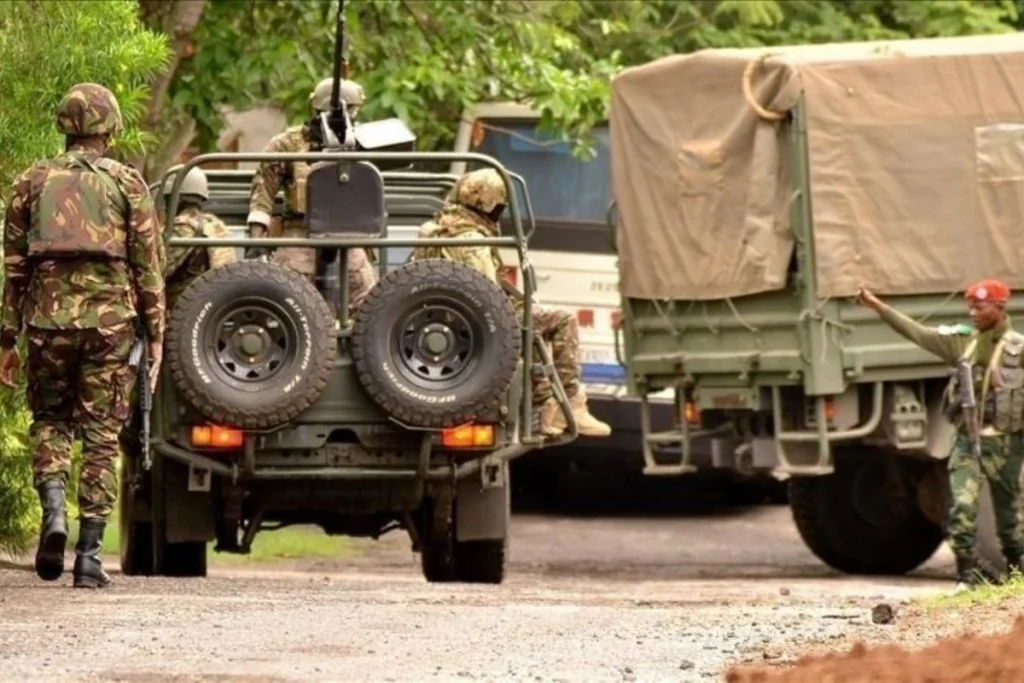 WHO Serukan Gencatan Senjata di Republik Demokratik Kongo untuk Mengatasi Wabah Ebola