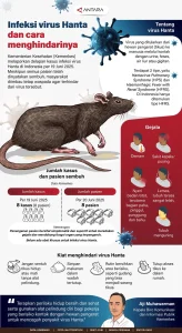 WHO Waspada: Dugaan Penularan Antarmanusia Hantavirus Membuat Khawatir