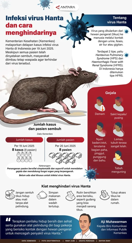 WHO Waspada: Dugaan Penularan Antarmanusia Hantavirus Membuat Khawatir