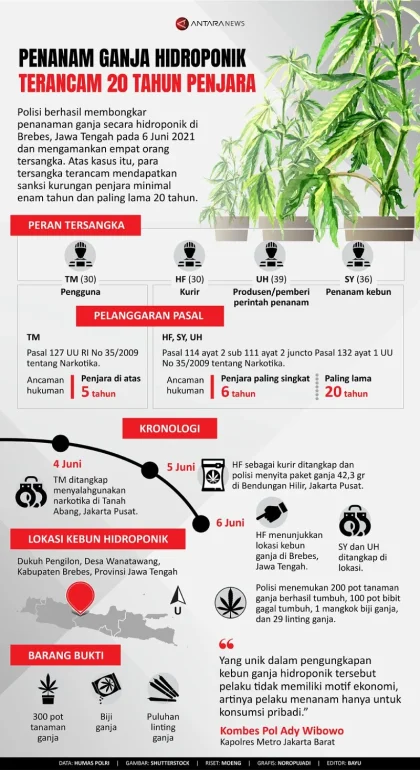WNA Belanda Penanam Ganja Hidroponik Tertunduk Lesu Dituntut Sembilan Tahun