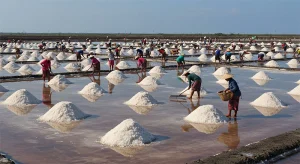Zona Industri Garam Rote Ndao, Jantung Pendukung Kebutuhan Nasional