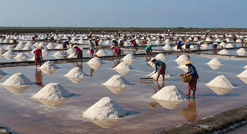 Zona Industri Garam Rote Ndao, Jantung Pendukung Kebutuhan Nasional