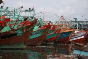 Zulhas: Daya Tawar Nelayan Masih Lemah, Pemerintah Siapkan Pabrik Es dan Akses Pasar