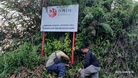 2 Harimau Muncul Dekat Permukiman Warga Agam, Berjarak 10 Meter dari Kantor BRIN