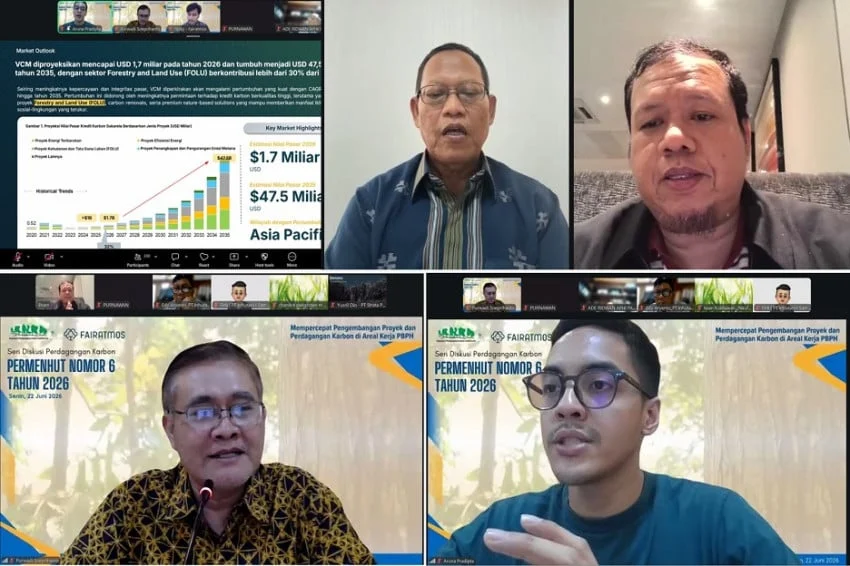 APHI Dorong Pemegang PBPH untuk Membangun Proyek Karbon