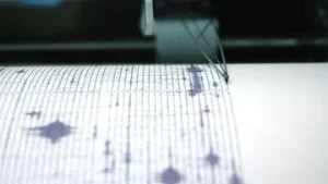 BMKG: Gempa M5,6 Pacitan Dirasakan Hingga Jogja, Tak Potensi Tsunami