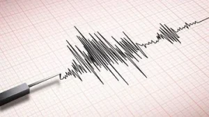 BPBD Sulut Catat 31 Kali Gempa Susulan Setelah Gempa Magnitudo 7,7