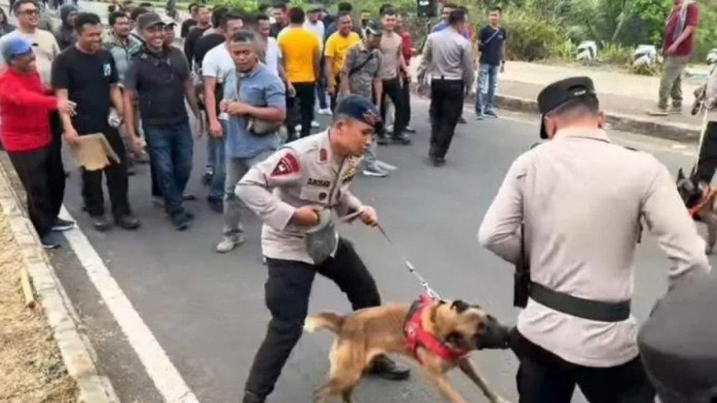 Dua Polisi Chesterfield Terluka dan Anjing Polisi Tewas dalam Panggilan Gangguan Dalam Rumah Tangga