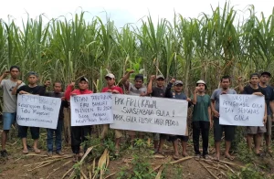 Duta Petani Milenial Kembangkan Koperasi Induk Tebu untuk Dukung Swasembada Gula