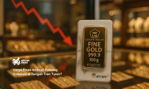 Emas Now Bidik Pasar Vietnam Hingga Singapura: Membuka Peluang Investasi Baru