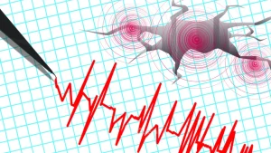 Gempa M 2,9 Guncang Kabupaten Cianjur, BMKG Sebut Dipicu Aktivitas Sesar Aktif Lokal