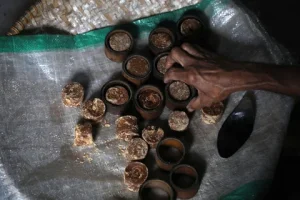 Gula Semut Banyumas Menembus Pasar AS, Menteri Perdagangan: Ini Momentum Penting