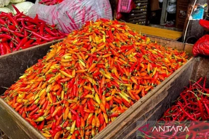 Harga Pangan Hari Ini: Cabai Rawit Mencapai Rp83.550 per Kg, Telur Ayam Tetap Mahal