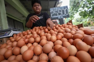 Harga Telur Turun ke Rp 29.850 Per Kg, Daging Sapi dan Minyak Goreng Curah Naik