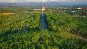 Indonesia dan Norwegia Luncurkan Proyek Restorasi Hutan di Kalimantan Selatan