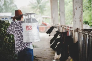 Indonesia Percepat Rencana Menuju Kemandirian Susu