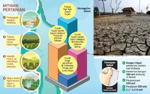 Indonesia Perkuat Irigasi dan Pasokan Air untuk Mitigasi El Nino
