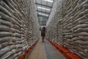 Indonesia Siap Menghadapi Suku El Nino dengan Stok Beras Rekor