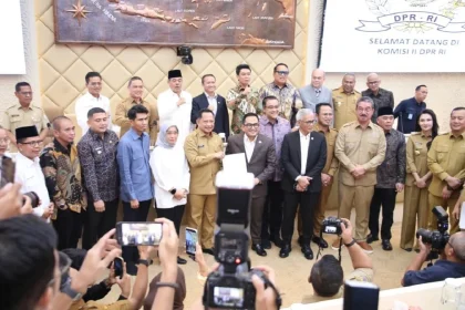 Inilah Inti Hasil Raker di DPR soal Nasib PPPK, P3K PW, dan Honorer