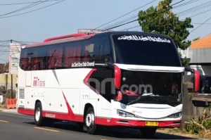 Jadwal dan Harga Tiket Bus AKAP dari Bali ke Pulau Jawa Sabtu 13 Juni