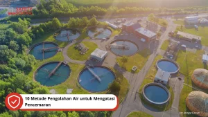 Jakarta Luncurkan Program Ekowisata untuk Mengatasi Polusi Air