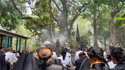 Jokowi Jalani Ritual Injak Kepala Kerbau di Kedaton Keagungan