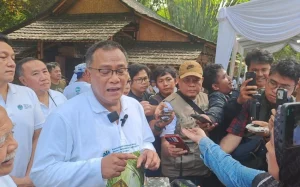 Jumhur Dorong Penanaman Bambu untuk Serap Emisi dan Tingkatkan Penghasilan Warga