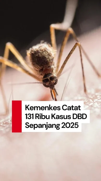 Kemenkes Catat Puluhan Ribu Kasus DBD Tahun 2026
