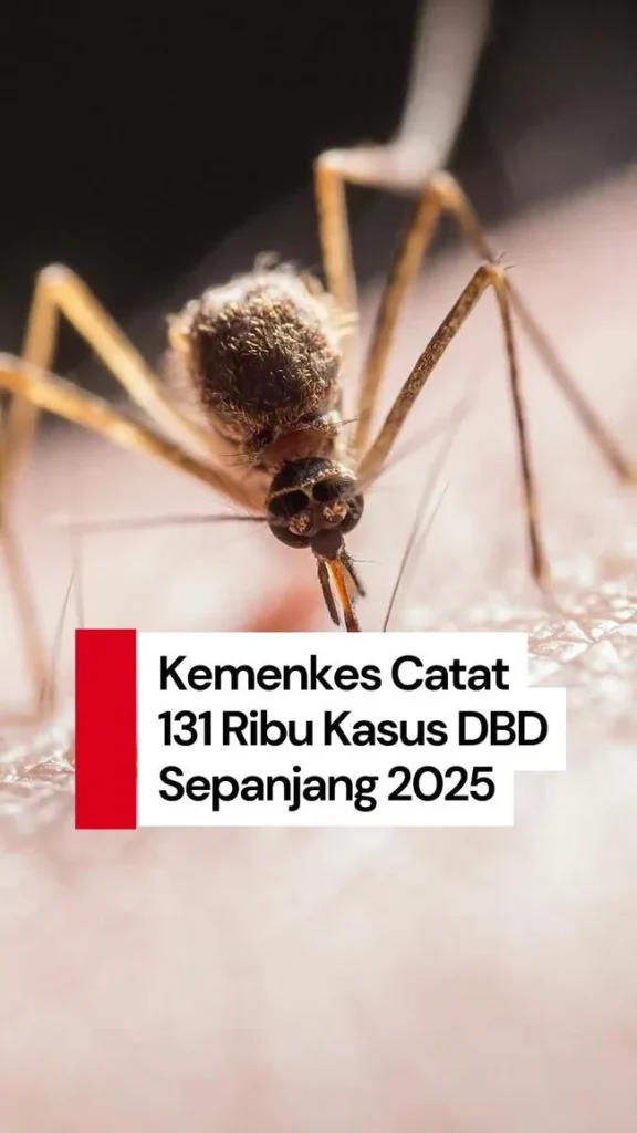 Kemenkes Catat Puluhan Ribu Kasus DBD Tahun 2026