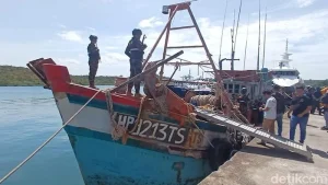 KKP Tangkap Kapal Asing Pencuri 1,2 Ton Ikan Napoleon di Laut Sulawesi