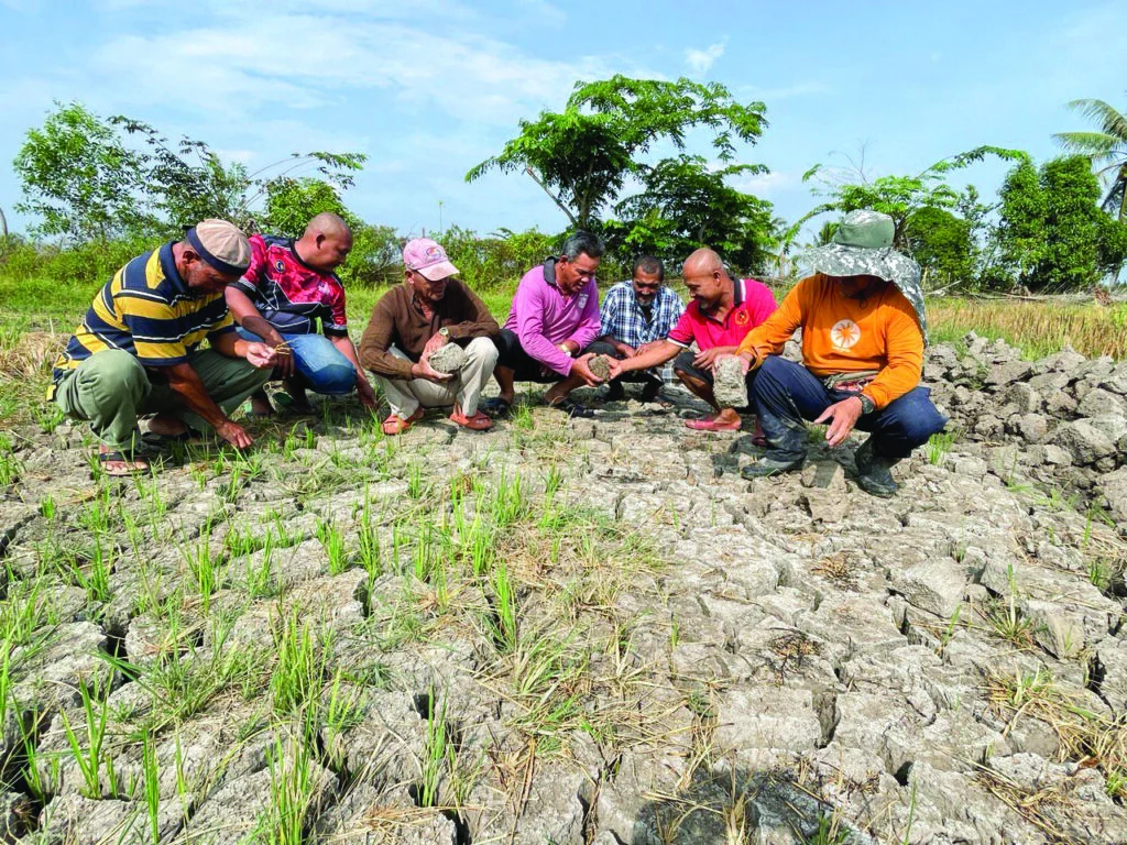 Komunitas Membuktikan Tanah Kering Sebagai Tempat Penuh Peluang