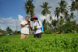 Mengubah Cangkul Menjadi Harapan: Kisah Inspiratif Edi Berawal Menggarap Lahan Orang hingga Miliki Tanah Sendiri