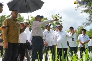 Menteri PU Tinjau Infrastruktur Dasar Pascagempa di Sulawesi Tengah
