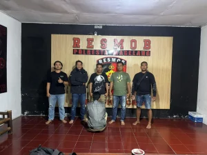 Modus Tipu Daya Jual Beli Sapi di Bantul Terbongkar