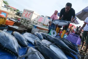 Musim Kering El Nino Menawarkan Potensi Ekonomi untuk Perikanan