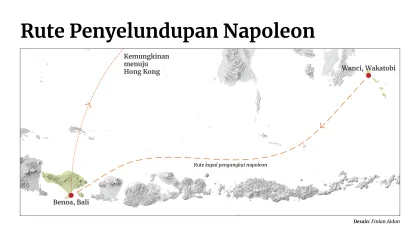 Napoleon, Hong Kong, dan Cerita Panjang Perdagangan Ilegal dari Laut Indonesia