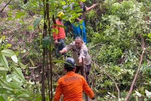 Nenek Hilang di Hutan Lingga Ditemukan dalam Kondisi Selamat