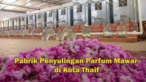 Pabrik Parfum Mawar Taif Menarik Perhatian Jemaah Haji