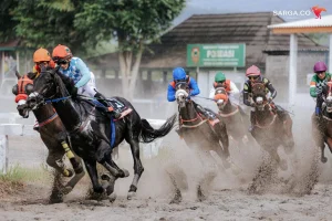 Pacuan Kuda Bantul 14 Juni 2026: Piala Raja Paku Alam Siap Digelar