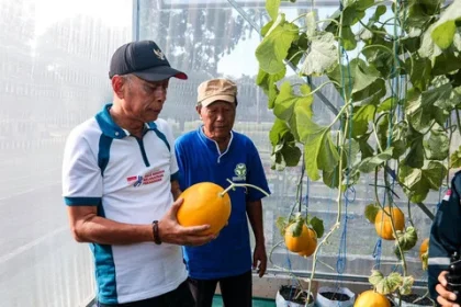 Panen Melon di STPL Bekasi, Wamensos Agus Jabo: Sentra Harus Jadi Pusat Pemberdayaan