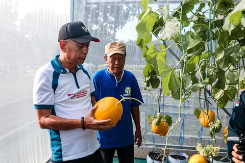 Panen Melon di STPL Bekasi, Wamensos Agus Jabo: Sentra Harus Jadi Pusat Pemberdayaan