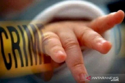 Pembuangan Bayi di Bali: Polisi Berharap Mencari Pelaku