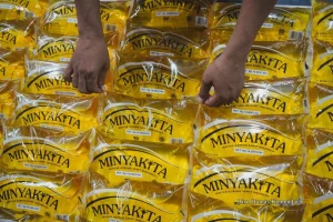 Pemerintah RI Tetapkan Harga Minyakita Rp15.700 untuk Perlindungan Konsumen