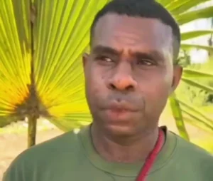Pemilik Hak Ulayat Papua Bongkar Fakta Cetak Sawah dan Isu Pembabatan Hutan